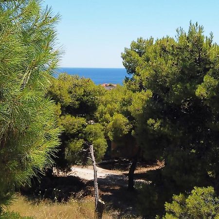 Agia Marina  Fistiki Rooms מראה חיצוני תמונה