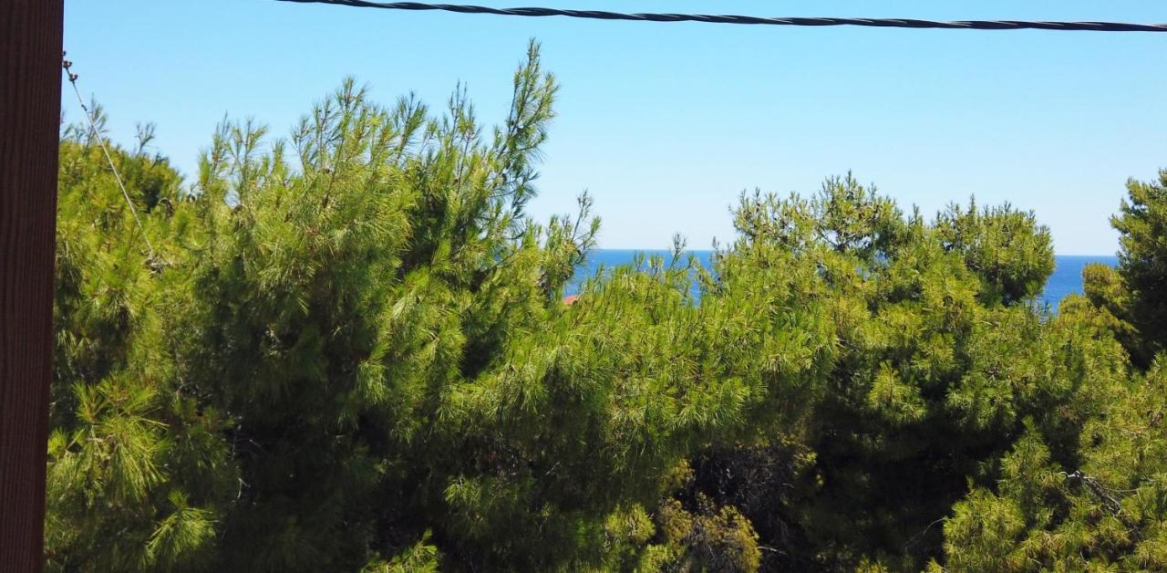 Agia Marina  Fistiki Rooms מראה חיצוני תמונה