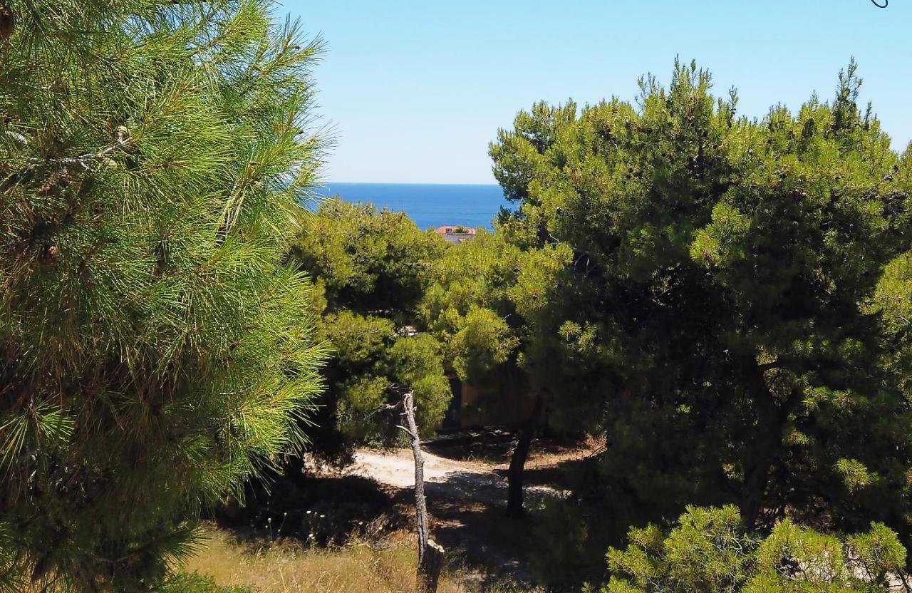 Agia Marina  Fistiki Rooms מראה חיצוני תמונה