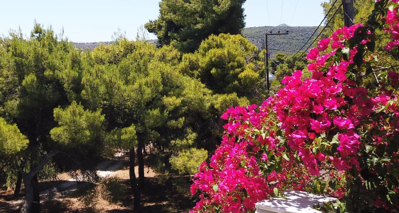 Agia Marina  Fistiki Rooms מראה חיצוני תמונה